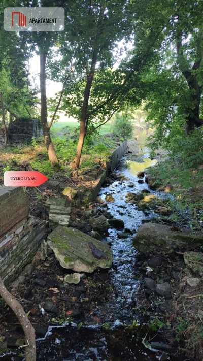 Działka z warunkami zabudowy  Gościm - Gościm  -
Lubuskie Zdjęcie nr 4