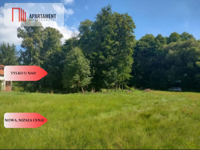 Działka z warunkami zabudowy  Gościm - Gościm  -
Lubuskie Zdjęcie nr 6