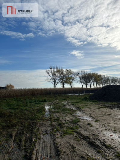 Działki - droga asfaltowa media - Krężoły  -
Kujawsko-Pomorskie Zdjęcie nr 4