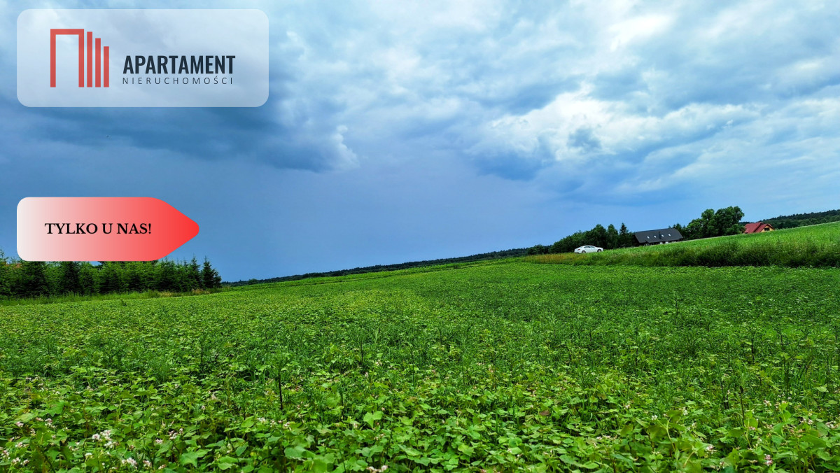 Unikatowa Działka z wydanymi WZ na 3 domy GARCZYN - Garczyn  -
Pomorskie Zdjęcie nr 1