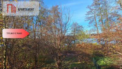 Pięknie położona działka przy jeziorze- Dobiegniew - Dobiegniew  -
Lubuskie Zdjęcie nr 2