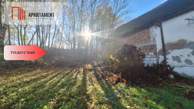 Pięknie położona działka przy jeziorze- Dobiegniew - Dobiegniew  -
Lubuskie Zdjęcie nr 6