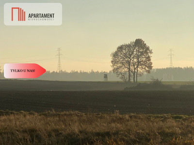 Działki objęte MPZP pod zabudowę jednorodzinną - Borcz  -
Pomorskie Zdjęcie nr 2