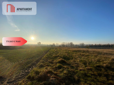 Działki objęte MPZP pod zabudowę jednorodzinną - Borcz  -
Pomorskie Zdjęcie nr 3