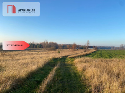 Działki objęte MPZP pod zabudowę jednorodzinną - Borcz  -
Pomorskie Zdjęcie nr 4