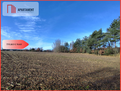 Działka z dużym potencjałem Blisko natury - Dąbrowa  - Kujawsko-Pomorskie