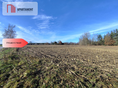 Działka z dużym potencjałem Blisko natury - Dąbrowa  -
Kujawsko-Pomorskie Zdjęcie nr 3