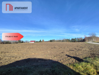 Działka z dużym potencjałem Blisko natury - Dąbrowa  -
Kujawsko-Pomorskie Zdjęcie nr 8