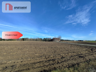 Działka z dużym potencjałem Blisko natury - Dąbrowa  -
Kujawsko-Pomorskie Zdjęcie nr 9