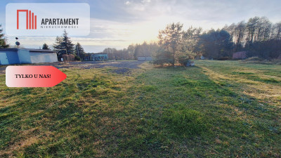 Atrakcyjnie położony teren Piła Koszyce - Piła  -
Wielkopolskie Zdjęcie nr 2