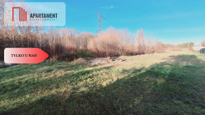 Atrakcyjnie położony teren Piła Koszyce - Piła  -
Wielkopolskie Zdjęcie nr 9