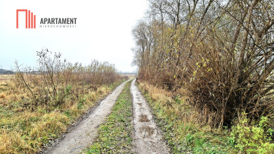 Olimpinduża działka 1217m media w drodze MPZP - Olimpin  -
Kujawsko-Pomorskie Zdjęcie nr 2