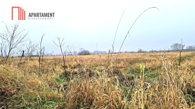 Olimpinduża działka 1217m media w drodze MPZP - Olimpin  -
Kujawsko-Pomorskie Zdjęcie nr 3
