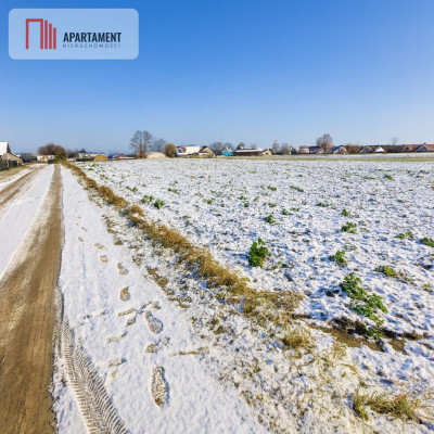 Działki w spokojnej i cichej okolicy - Tokary  -
Pomorskie Zdjęcie nr 6