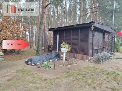 Działka 660 m z domkiem 16 m 500 m od jeziora - Chomiąża Szlachecka  -
Kujawsko-Pomorskie Zdjęcie nr 4