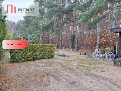 Działka 660 m z domkiem 16 m 500 m od jeziora - Chomiąża Szlachecka  -
Kujawsko-Pomorskie Zdjęcie nr 8