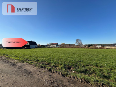 Działki z wydanymi warunkami zabudowy - Osowa Sień  - Lubuskie