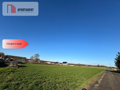 Działki z wydanymi warunkami zabudowy - Osowa Sień  -
Lubuskie Zdjęcie nr 2