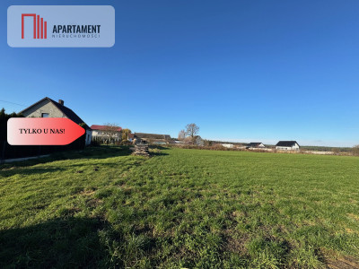 Działki z wydanymi warunkami zabudowy - Osowa Sień  -
Lubuskie Zdjęcie nr 3