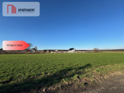 Działki z wydanymi warunkami zabudowy - Osowa Sień  -
Lubuskie Zdjęcie nr 5