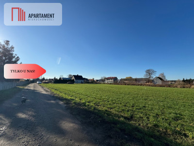 Działki z wydanymi warunkami zabudowy - Osowa Sień  -
Lubuskie Zdjęcie nr 8