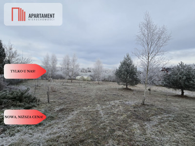 Wyjątkowa działka budowlana na skraju lasu- Sobącz - Sobącz  -
Pomorskie Zdjęcie nr 2