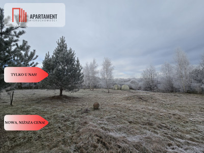 Wyjątkowa działka budowlana na skraju lasu- Sobącz - Sobącz  -
Pomorskie Zdjęcie nr 3