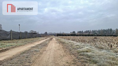 Duza działka pod dom i usługi  Kolankowo - Kolankowo  - Kujawsko-Pomorskie