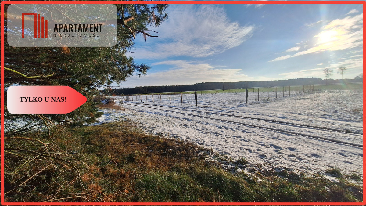 Duży teren w atrakcyjnej lokalizacji - Boruchowo  -
Wielkopolskie Zdjęcie nr 1