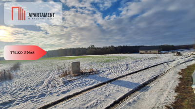 Duży teren w atrakcyjnej lokalizacji - Boruchowo  -
Wielkopolskie Zdjęcie nr 3