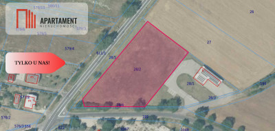 Działka inwestycyjna w dobrej lokalizacji - Wińsko  -
Dolnośląskie Zdjęcie nr 7