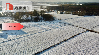 Działki k Trzebnicy Kobylice ul Radosna - Kobylice  -
Dolnośląskie Zdjęcie nr 7