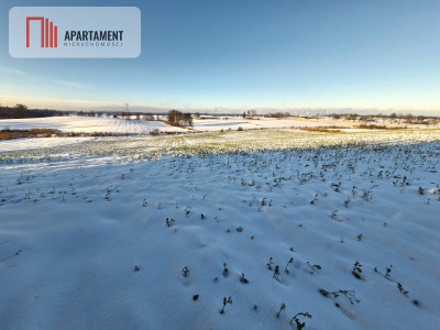 Działki z wydanymi warunkami zabudowy - Radomice  -
Kujawsko-Pomorskie Zdjęcie nr 2