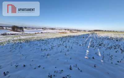 Działki z wydanymi warunkami zabudowy - Radomice  -
Kujawsko-Pomorskie Zdjęcie nr 3
