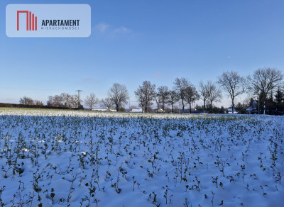 Działki z wydanymi warunkami zabudowy - Radomice  -
Kujawsko-Pomorskie Zdjęcie nr 4