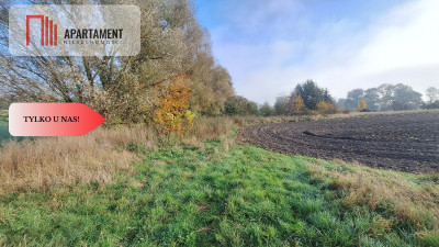 Działka Budowlana Szpęgawa koło Tczewa - Szpęgawa  -
Pomorskie Zdjęcie nr 4