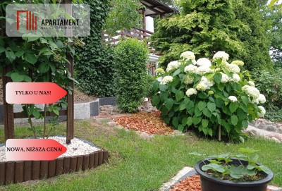 DZIAŁKA Z DOMKIEM CAŁOROCZNYM  BYDGOSZCZ  - Bydgoszcz  -
Kujawsko-Pomorskie Zdjęcie nr 14