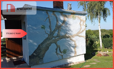 DZIAŁKA Z DOMKIEM CAŁOROCZNYM  BYDGOSZCZ  - Bydgoszcz  - Kujawsko-Pomorskie