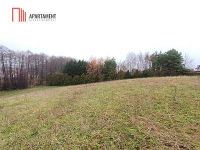 Działka rekreacyjna nad jeziorem - Szwarcenowo  -
Warmińsko-Mazurskie Zdjęcie nr 3