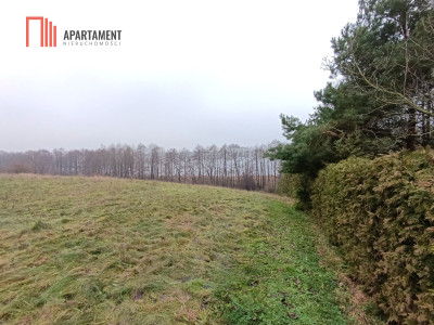 Działka rekreacyjna nad jeziorem - Szwarcenowo  -
Warmińsko-Mazurskie Zdjęcie nr 5