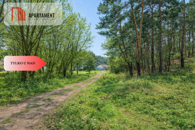 Działki budowlane w zaciszu lasu Grabowiec - Grabowiec  -
Kujawsko-Pomorskie Zdjęcie nr 7