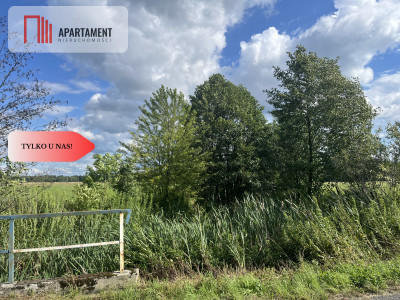 Działka grunt rolny 223 ha - Suliradzice  -
Dolnośląskie Zdjęcie nr 10