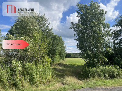 Działka grunt rolny 223 ha - Suliradzice  -
Dolnośląskie Zdjęcie nr 7