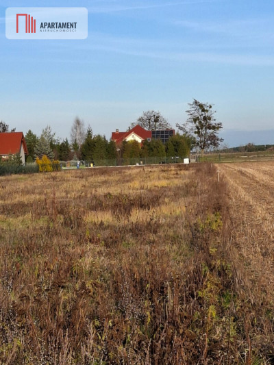 duża działka mieszkaniowa w Ratowicach - Ratowice  -
Dolnośląskie Zdjęcie nr 4
