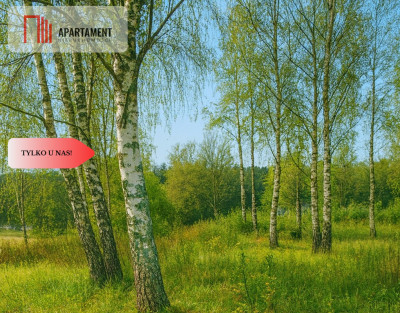 Piękne działki nad jeziorem Pile w Piławie - Piława  -
Zachodniopomorskie Zdjęcie nr 3