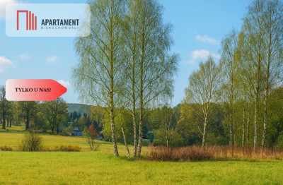 Piękne działki nad jeziorem Pile w Piławie - Piława  -
Zachodniopomorskie Zdjęcie nr 4