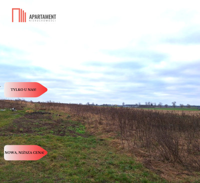 Działka budowlana 3200m2  z WZ Ojrzanowo - Ojrzanowo  - Kujawsko-Pomorskie