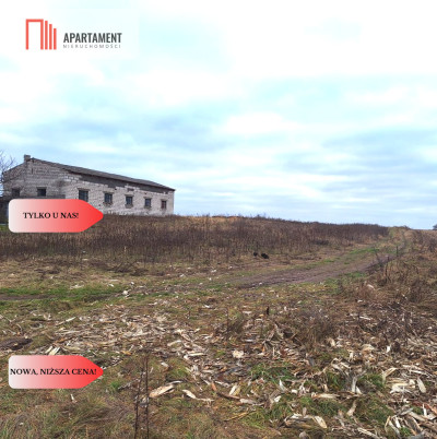 Działka budowlana 3200m2  z WZ Ojrzanowo - Ojrzanowo  -
Kujawsko-Pomorskie Zdjęcie nr 2