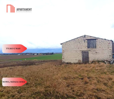 Działka budowlana 3200m2  z WZ Ojrzanowo - Ojrzanowo  -
Kujawsko-Pomorskie Zdjęcie nr 3