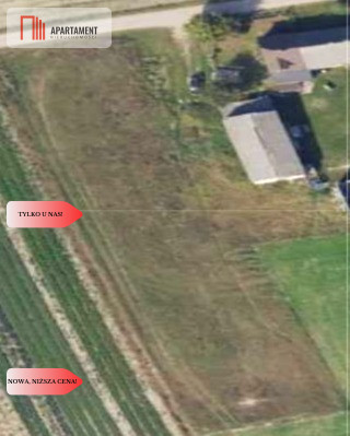 Działka budowlana 3200m2  z WZ Ojrzanowo - Ojrzanowo  -
Kujawsko-Pomorskie Zdjęcie nr 5